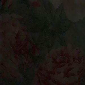 Meet your Posher, Ashleen